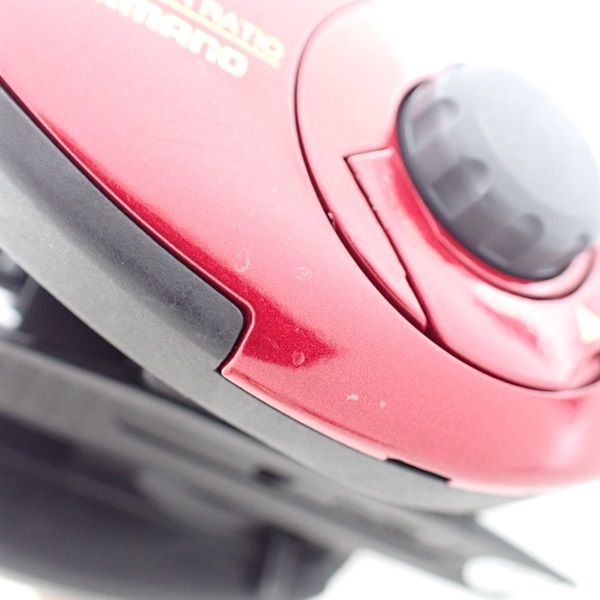 ０９ワカサギマチックＲ